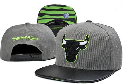 Chicago Bulls Hat GF 150426 22